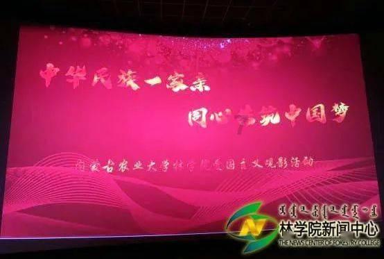 秘宝猎人:王牌猎手