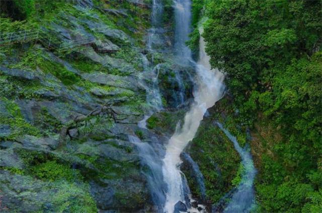 喜欢淡淡、好闻的伪体香香水味，这5款大牌香水闻起来更干净明亮
