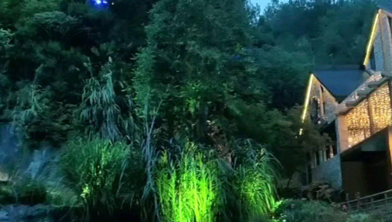 湖北启动老年痴呆防治促进行动
